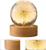 A dandelion encased in a glass sphere, illuminated by LEDs, resting on a wooden base. Produktbild-Vorschau