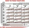 A feeding guide chart for dogs, showing recommended amounts of food based on weight and condition. Podgląd zdjęcia produktu