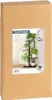 A cardboard box with a product label showing a black plant stand with several potted plants. Náhled obrázku produktu
