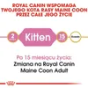 Royal Canin Feline Kitten Maine Coon 36 4kg Anteprima dell’immagine prodotto 14