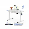 A white electric standing desk with a computer, keyboard, mouse, headphones, and a vase of flowers on top. Below the desk are illustrations of cable management accessories. Produktbild-Vorschau
