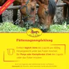 Scheidler horse-direkt Ingwer-Teufelskralle Liquid, für Produktbild-Vorschau 2