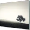 Glas Herdabdeckplatte 60x52 cm Spritzschutz Produktbild-Vorschau 1