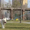 Laisse pour chien réfléchissante, laisse d'entraînement Voir les images du produit 11