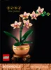 LEGO Botanicals Mini-Orchidee - Bauset für Erwachsene - Produktbild-Vorschau 32