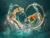 CALVENDO Puzzle Tiger springen durch Ringe. | 1000 Teile Produktbild-Vorschau 3