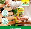 Neudorff TeakPflegeÖl 500 ml - reicht für 6-9m² - Produktbild-Vorschau 5