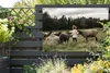 MuchoWow® Produktbild-Vorschau 5