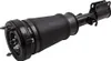 Jambe de suspension pneumatique for BMW E53 X5 Avant droit Voir les images du produit 2