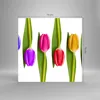 Bilder auf glas - Tulpe Blume Garten Komposition - 70x70cm Produktbild-Vorschau 3