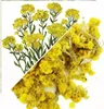 Herbs from Poland Strohblume – Fördert Leber & Galle, Produktbild-Vorschau 2
