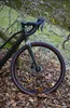 A gravel bike is leaning against a tree in a park with fallen leaves on the ground. Produktbild-Vorschau