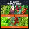 A collage of images showing different types of plants and vegetables, with text overlays describing them. Produktbild-Vorschau