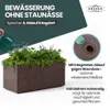 XL Pflanzkasten „Millennium“ 78x39x39 cm – 73L Volumen – Produktbild-Vorschau 6
