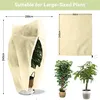 200 x 240 cm Winterschutz Kübelpflanzensack, Winterschutz Produktbild-Vorschau 2