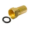 A close-up studio shot of a gold-colored F-connector and a black O-ring on a white background. Produktbild-Vorschau