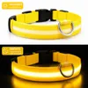 LED Hundehalsband USB aufladbar reflektierend Produktbild-Vorschau 1
