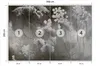 Muralo Vlies Fototapete Blumen ABSTRAKTION Pflanzen Produktbild-Vorschau 2