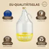 2 x 5L Glasballon (Gallone) mit Schutzkorb, Produktbild-Vorschau 4