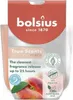 Duftglas 'True Scents' Pfirsich-Anti Tabak Produktbild-Vorschau 7