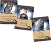 Three Harry Potter themed game cards are displayed diagonally. Podgląd zdjęcia produktu