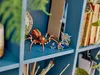 LEGO® Harry Potter™ 76434 Aragog w Zakazanym Lesie™ Podgląd zdjęcia produktu 13