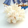 A white coral specimen is displayed in front of a miniature model of a blue and white striped sailboat. Produktbild-Vorschau