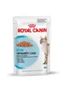 A single pouch of Royal Canin cat food is shown against a white background. Produktbild-Vorschau