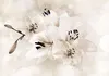 Vlies Fototapete Blumen Lilien 400x280 cmTapeten Wandtapete Produktbild-Vorschau 1