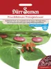 Prunkbohne Preisgewinner | Prunkbohnensamen von Dürr Samen Produktbild-Vorschau 3