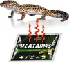 A leopard gecko is shown above a heat pack for transport. Anteprima dell’immagine prodotto