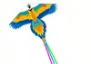 LEAN Toys 15988 Létací drak Papoušek 250 x 140 cm Náhled obrázku produktu 2