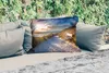 MuchoWow® Outdoor Kissen - Sonnenuntergang - Strand - Düne Produktbild-Vorschau 2