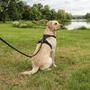 Pettorina anti-tiro per cani Belviona, pettorina a Y Anteprima dell’immagine prodotto 1