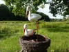 STORCHENNEST NEST 2 STÖRCHE STORCH - FAMILIE ALS SET FIGUR Produktbild-Vorschau 2