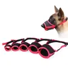 A dog wearing a muzzle, with several other muzzles of different sizes laid out in front of it. Podgląd zdjęcia produktu