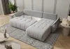 A light gray sectional sofa with a pull-out bed function is displayed in a room with a patterned rug and a plant. Voir les images du produit