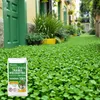 Graines de gazon avec micro-trèfle Pipolina, 10 kg pour 400 Voir les images du produit 15