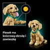 LEGO Icons 11384 Chiot Golden Retriever - Ensemble adulte - Voir les images du produit 26