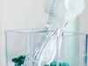 TESA 58810, Transparent, 8 Stück(e) Produktbild-Vorschau 18