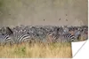 MuchoWow® Poster Gejagte Zebras 30x20 cm - Plakate - Print Produktbild-Vorschau 1