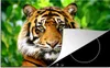 KitchenYeah© Herdabdeckplatte Tiger - Kopf - Wald , Produktbild-Vorschau 1