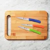 GRÄWE coltello spelucchino 3 pezzi, acciaio inox colorato1 Anteprima dell’immagine prodotto 8
