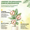 Orius Raubwanzen gegen Thripse - 1x Röhrchen - Thripse Produktbild-Vorschau 2