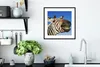 MuchoWow® Gerahmtes Poster Zebra - Lustig - Kinder - Jungen Produktbild-Vorschau 4