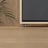 A close-up view of the base of a television stand with a plant in the background. Náhled obrázku produktu