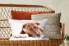 MuchoWow® Zierkissen Sofakissen Wohnzimmer Dekokissen 50x30 Produktbild-Vorschau 5