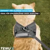 TEMUX Harnais pour chat avec laisse Anti-fugue Soft Voir les images du produit 3