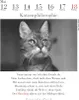 Der literarische Katzenkalender 2025 Produktbild-Vorschau 3