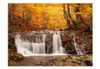 Basera Fototapete Waldmotiv 100403-163, Vliestapete, Produktbild-Vorschau 2